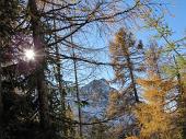 35 Il sole sbuca tra i rami
